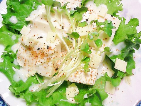 豆腐チーズ七味の塩ドレヨーグルトサラダ